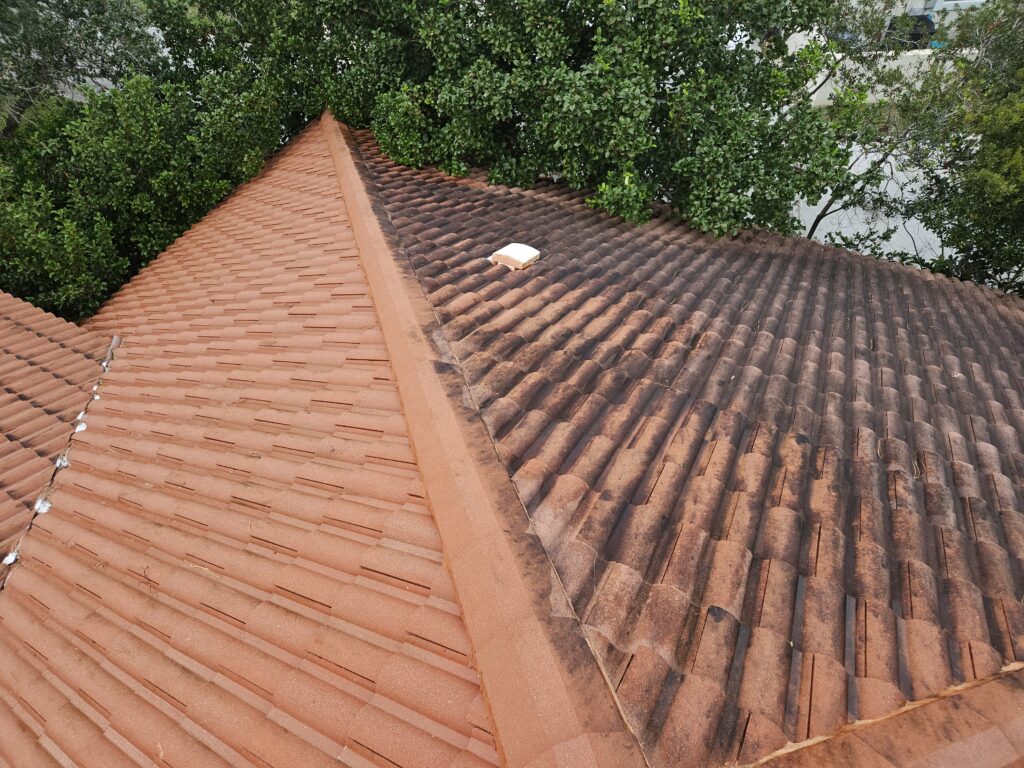 Clay tile roof being soft washed before and after. St. Augustine Fl